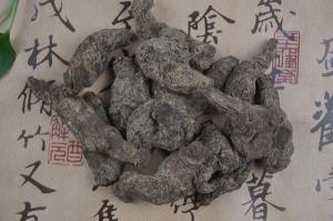 40支生地